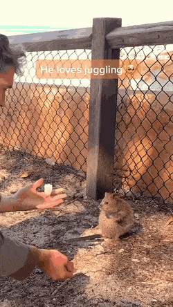 Acid Gifdump, October 8 (25 gifs)