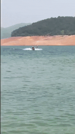 Acid Gifdump, October 8 (25 gifs)
