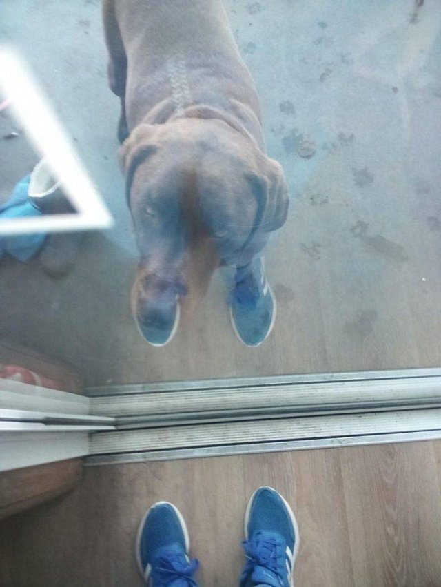 Look Twice (36 pics)