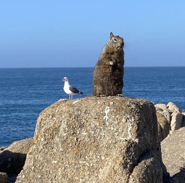 Look Twice (36 pics)