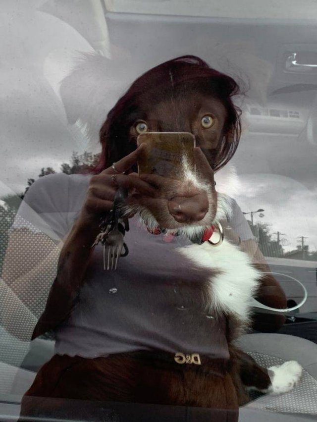 Look Twice (36 pics)