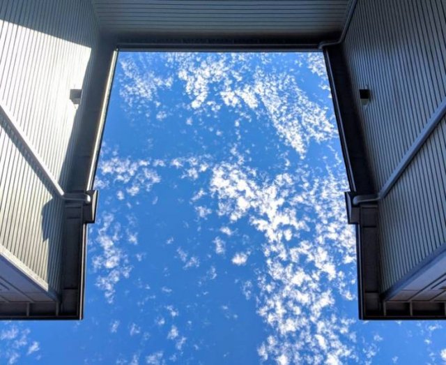 Look Twice (36 pics)