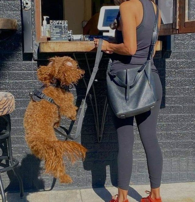 Look Twice (36 pics)