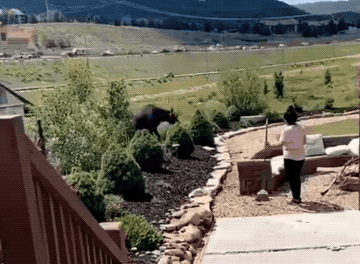 Wins And Fails (42 gifs)