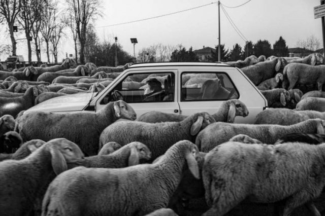 Acid Picdump 1 (88 pics)
