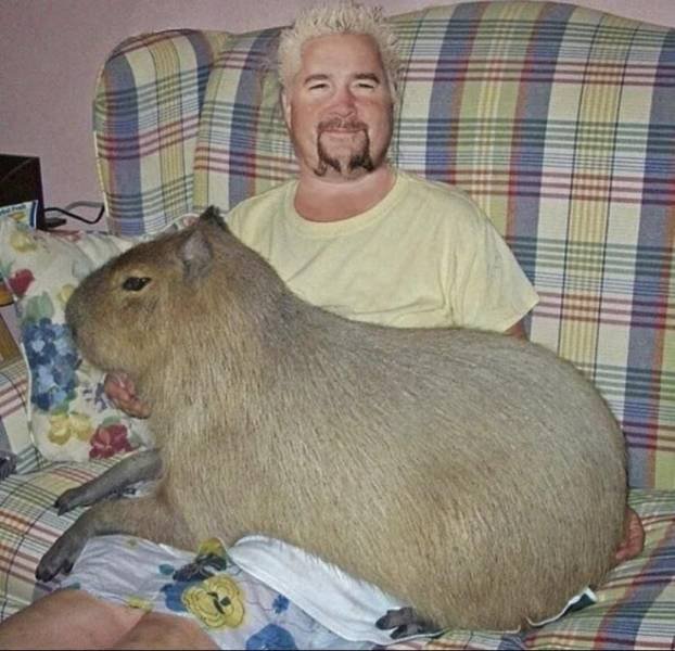 Acid Picdump 1 (88 pics)