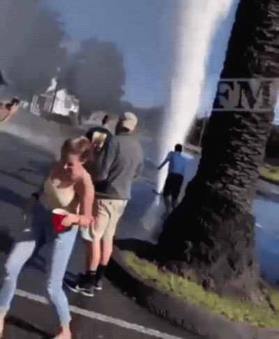 Wins And Fails (42 gifs)