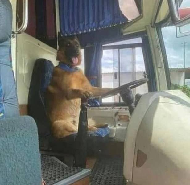 Acid Picdump 1 (88 pics)