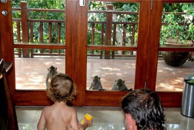 Acid Picdump 1 (88 pics)
