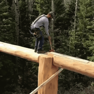 Wins And Fails (42 gifs)