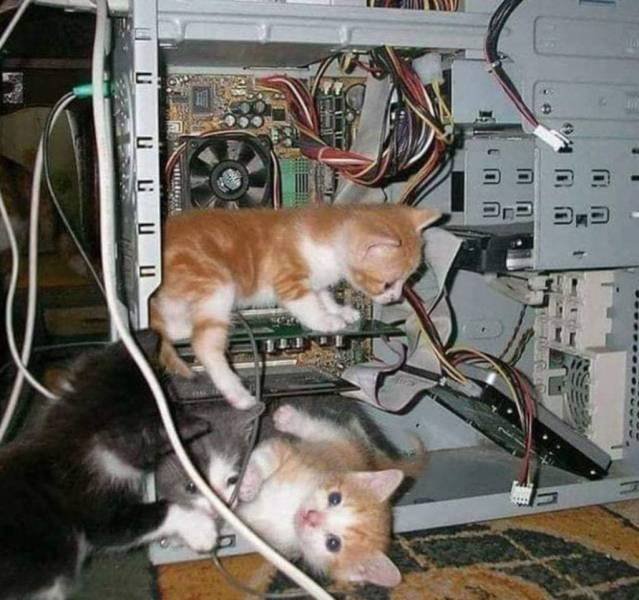 Acid Picdump 1 (88 pics)
