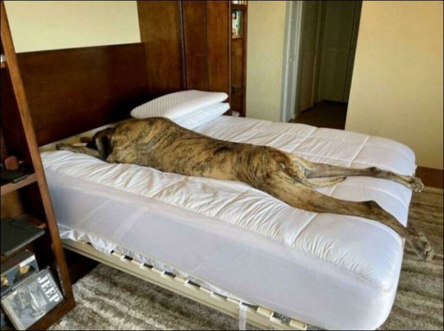 Acid Picdump 1 (88 pics)