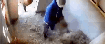 Wins And Fails (42 gifs)