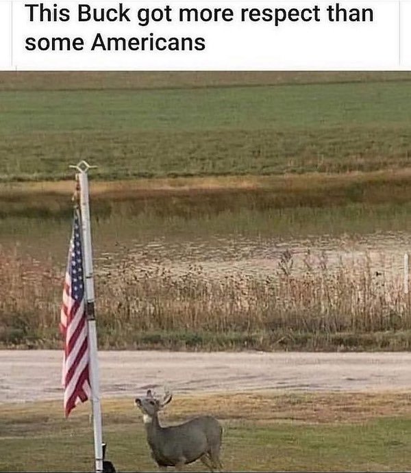 Country Memes (37 pics)