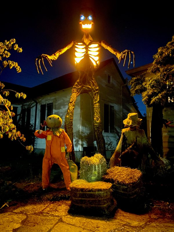 Halloween Memes And Pictures (40 pics)