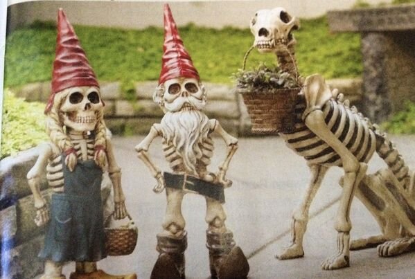 Halloween Memes And Pictures (40 pics)