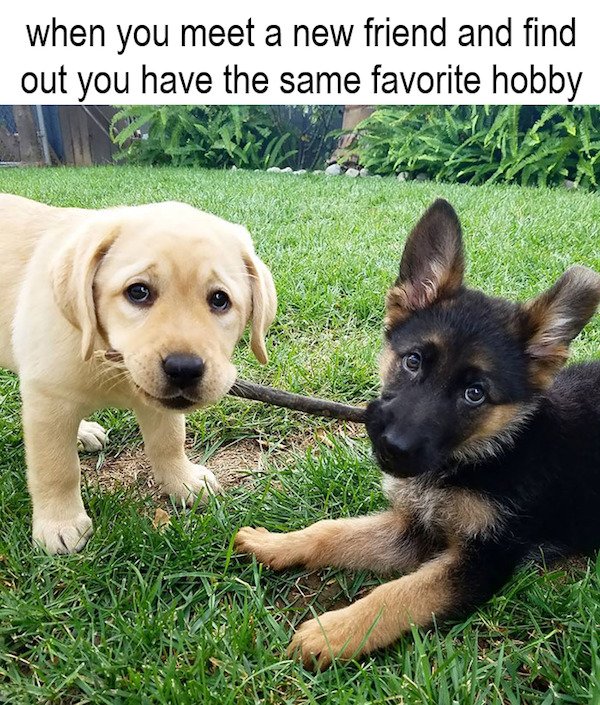 Wholesome Memes (24 pics)