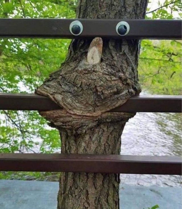 Acid Picdump 1 (56 pics)