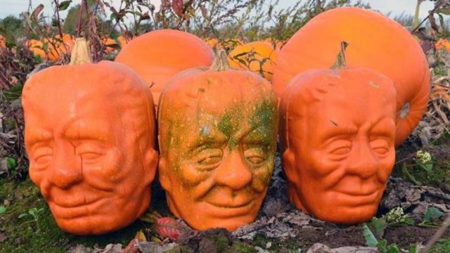 Acid Picdump 1 (56 pics)