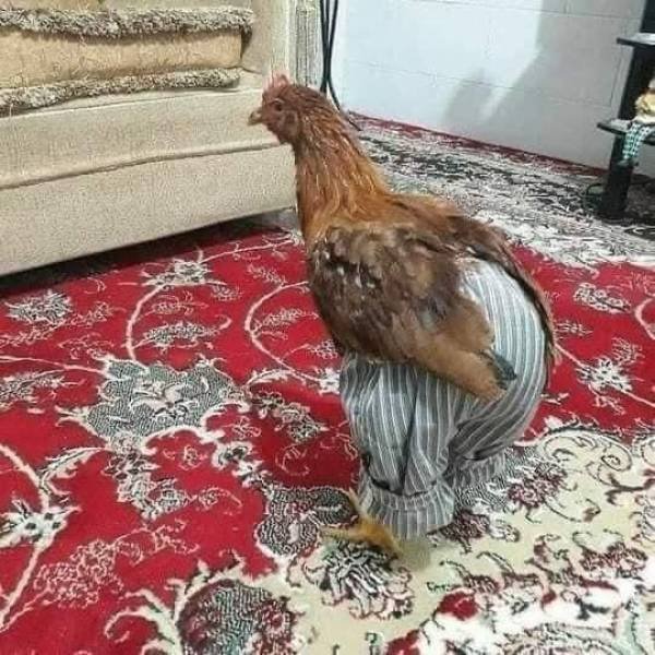 Acid Picdump 1 (56 pics)