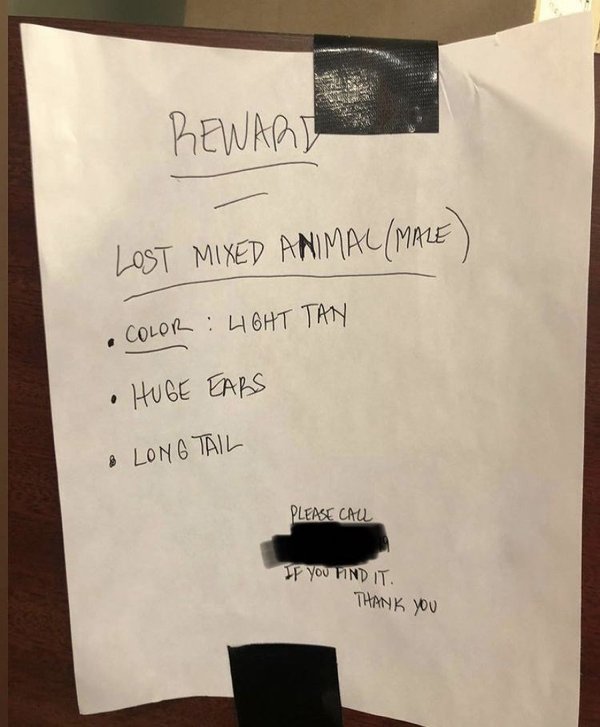 Notes To Neighbors (29 pics)