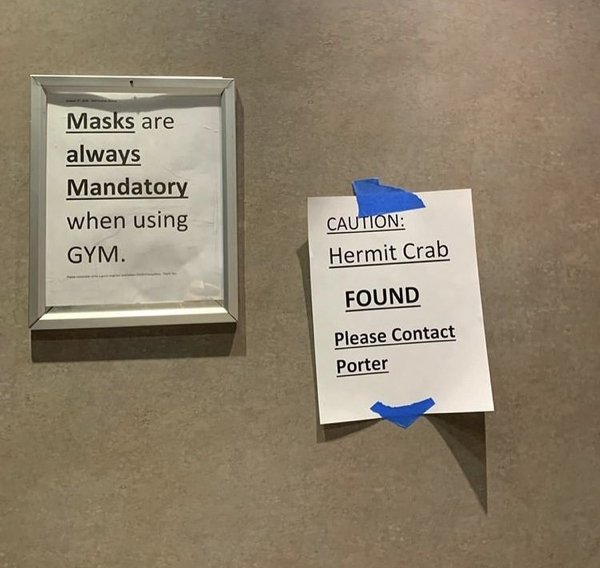 Notes To Neighbors (29 pics)