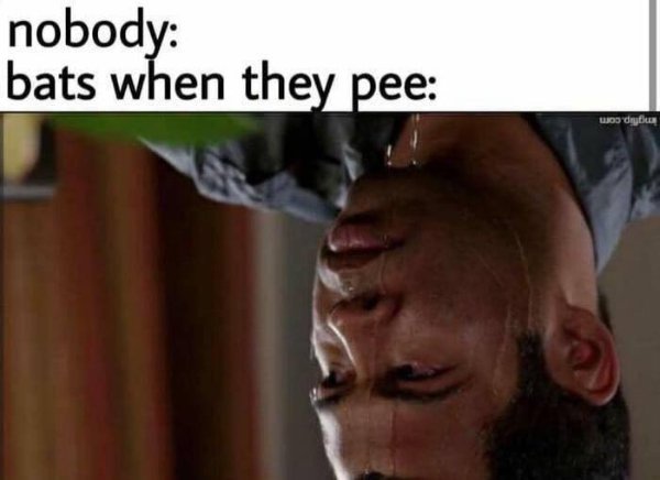 Random Funny Memes (22 pics)