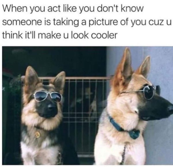Random Funny Memes (22 pics)