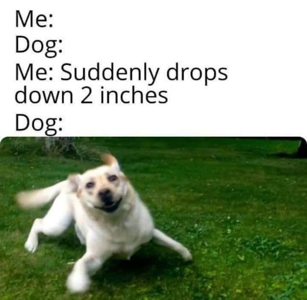 Random Funny Memes (22 pics)