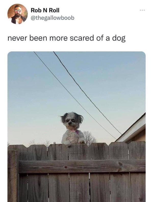 Random Funny Memes (22 pics)