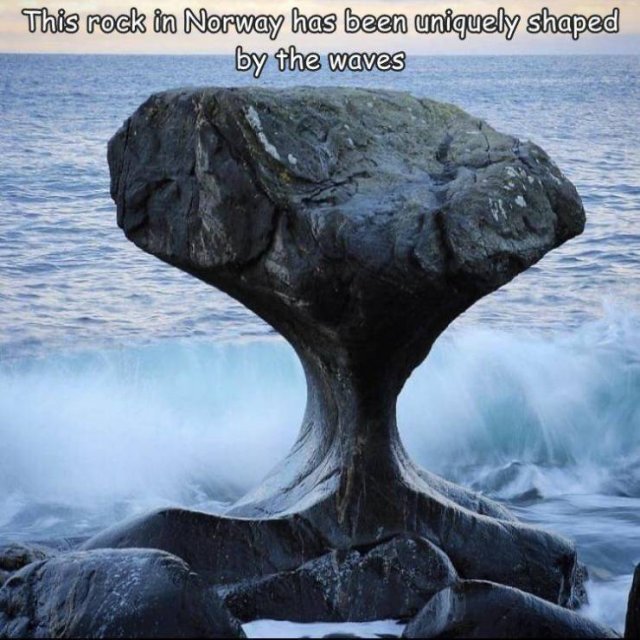 Acid Picdump 2 (88 pics)