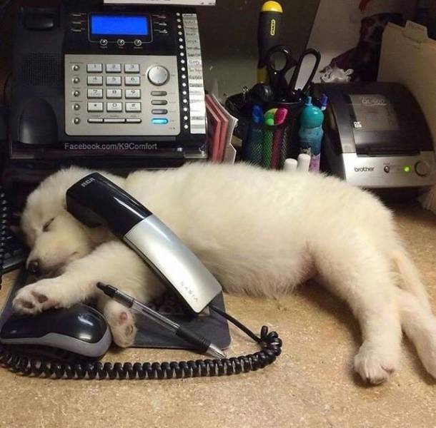 Acid Picdump 1 (90 pics)
