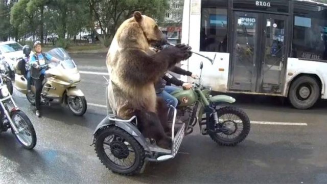 Acid Picdump 2 (88 pics)