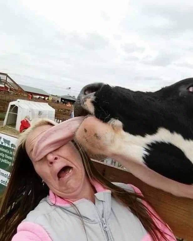Acid Picdump 1 (90 pics)
