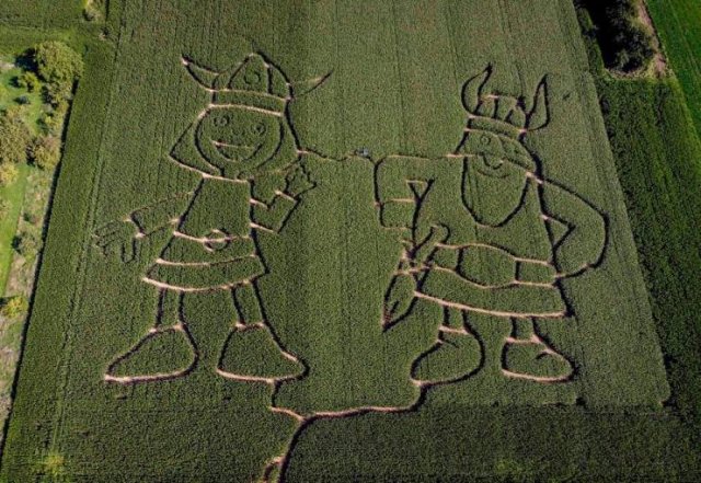 Acid Picdump 1 (90 pics)