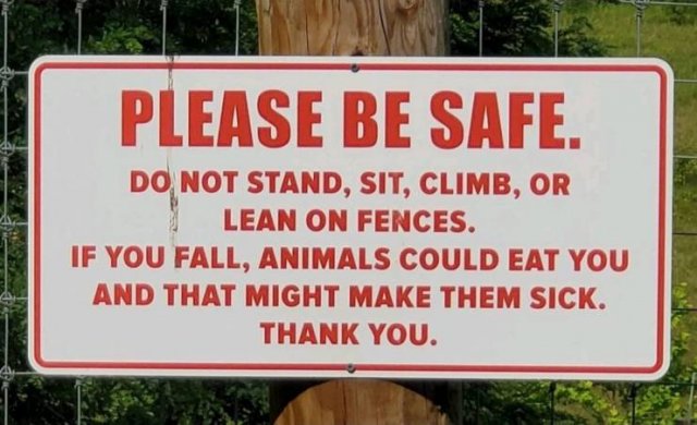 Acid Picdump 1 (90 pics)