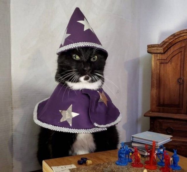 Acid Picdump 2 (88 pics)
