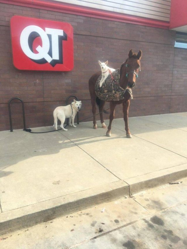 Acid Picdump 1 (90 pics)