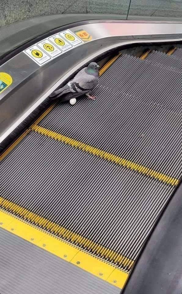 Acid Picdump 1 (90 pics)