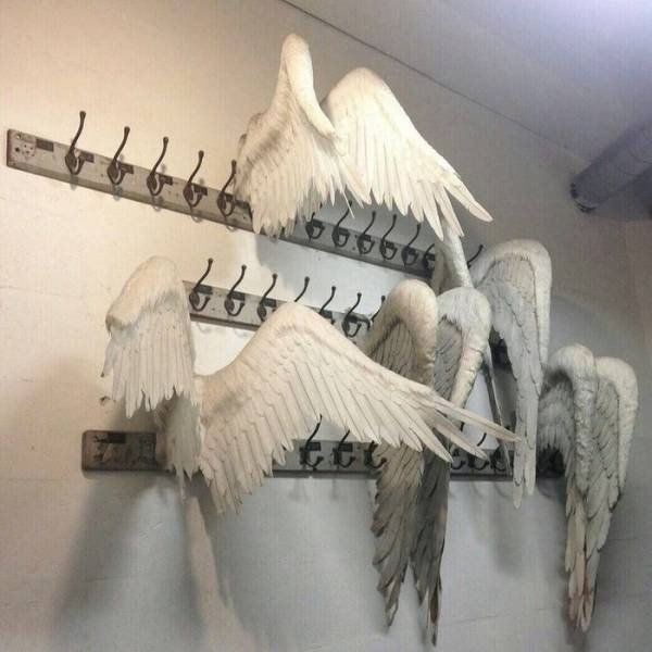 Acid Picdump 1 (90 pics)
