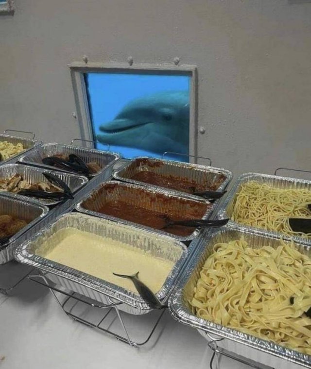 Acid Picdump 1 (90 pics)