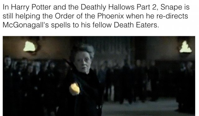Hidden Details In Harry Potter Movies (28 pics)