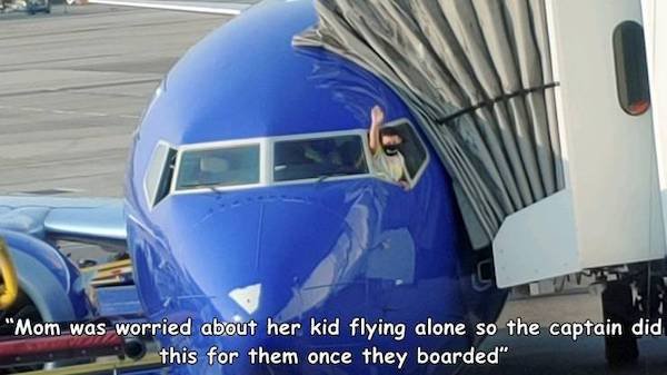 Wholesome Stories (34 pics)