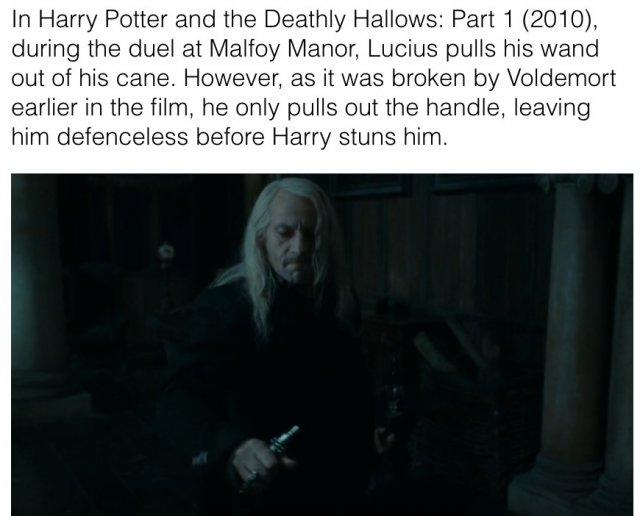 Hidden Details In Harry Potter Movies (28 pics)
