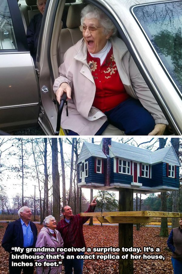 Wholesome Stories (34 pics)