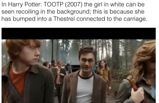 Hidden Details In Harry Potter Movies (28 pics)