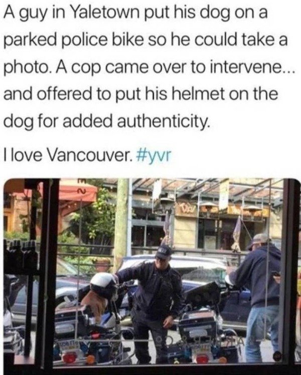 Wholesome Stories (34 pics)