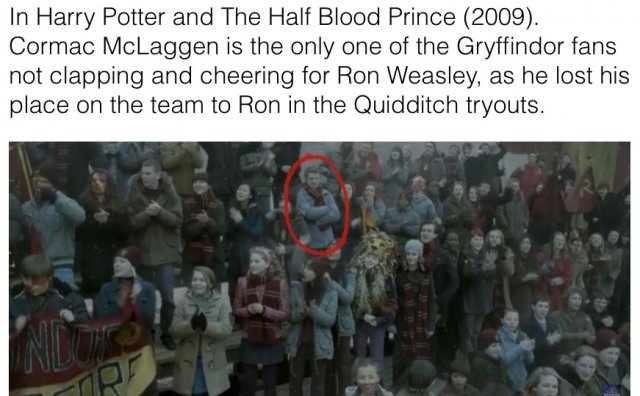 Hidden Details In Harry Potter Movies (28 pics)