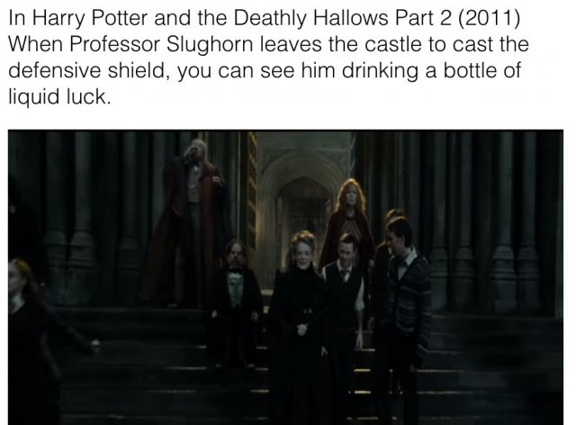 Hidden Details In Harry Potter Movies (28 pics)