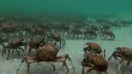Acid Gifdump, October 12 (25 gifs)